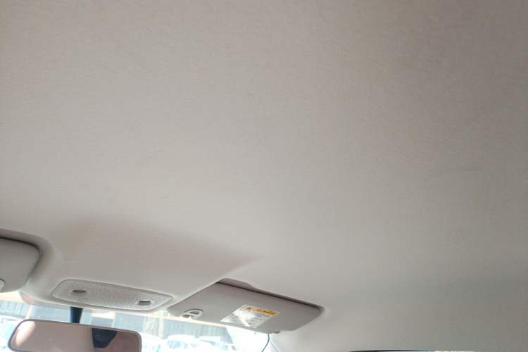 Used Leapmotor T03 2024 200 Lite Edition Headliner