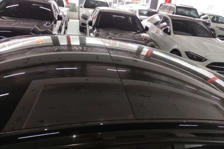 Used Tesla Model 3 2022 Rear-Wheel-Drive Version Roof