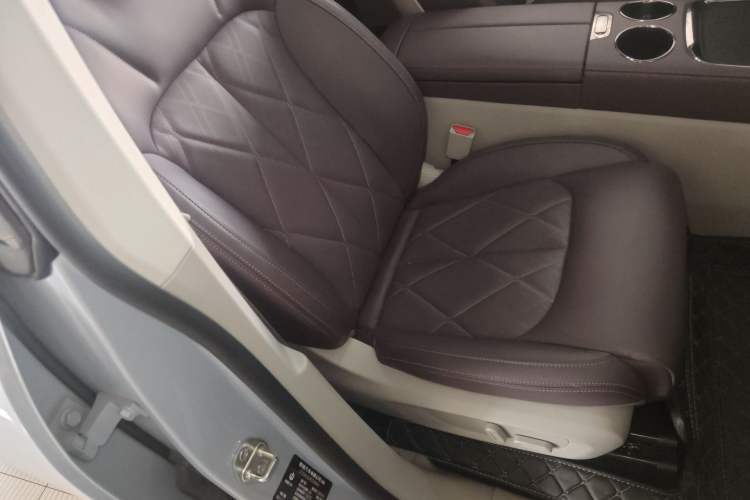 Used Leapmotor C11 2024 Range-Extended 300 Luxury Edition
