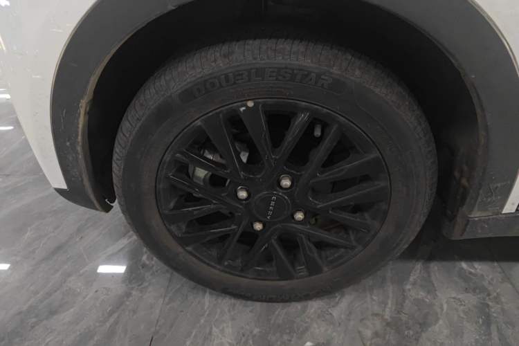 Used Chery Little Ant 2024 251km True Love Edition
