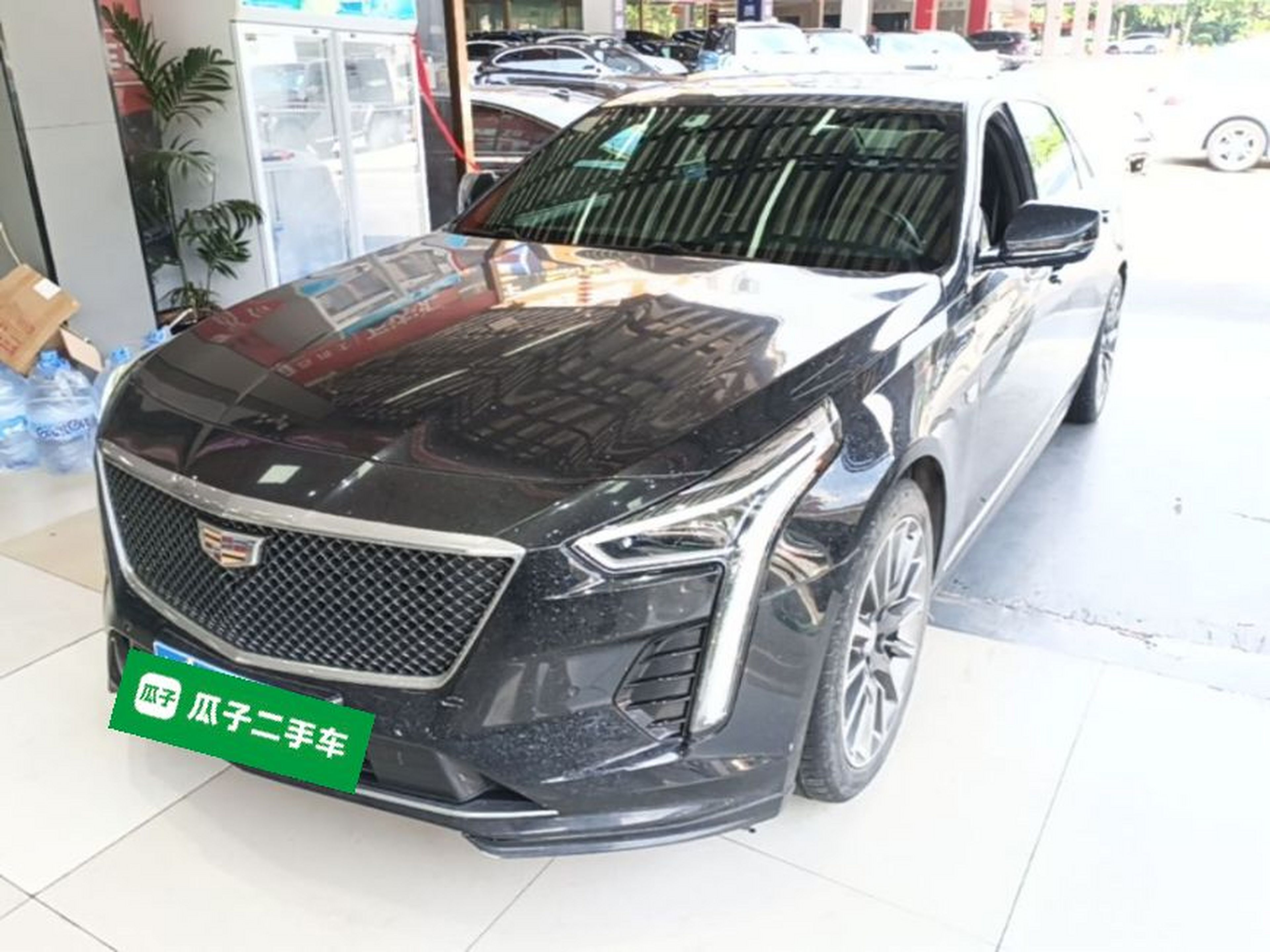 Under Front Bumper