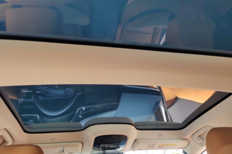 Used Lexus RZ 2023 450e All-Wheel Drive Luxury Edition Headliner