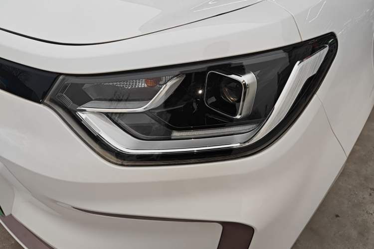 Used SOL E10X 2022 Flower Fairy Design Four-Leaf Clover