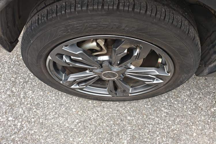 Used Leopaard CS9 2018 1.5T CVT Jingrui Model
