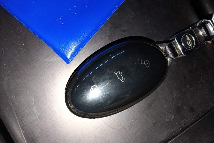 Used Rising R7 2024 Advanced Edition
