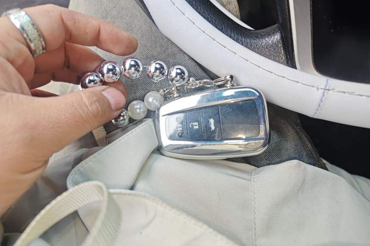 Used Toyota Levin 2019 185T CVT Luxury Edition China VI Standard