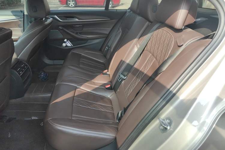 Used BMW 5 Series New Energy 2019 530Le Luxury Package
