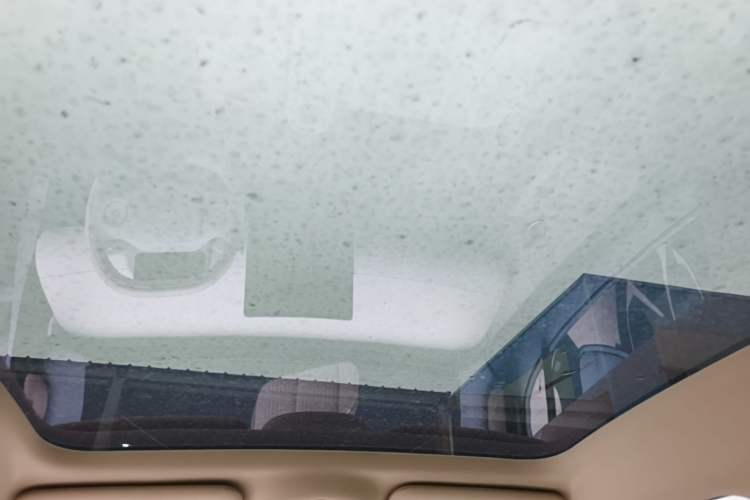 Used firefly 2025 Illuminated Edition