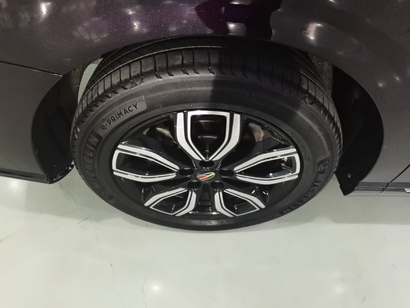 Hongqi HQ9 2023 2.0T Smart Connect Flagship Edition - Chinese Trim Ling — снимка 11