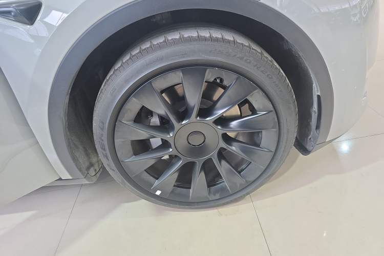 Used Tesla Model Y 2021 Standard Range Rear-Wheel Drive Version
