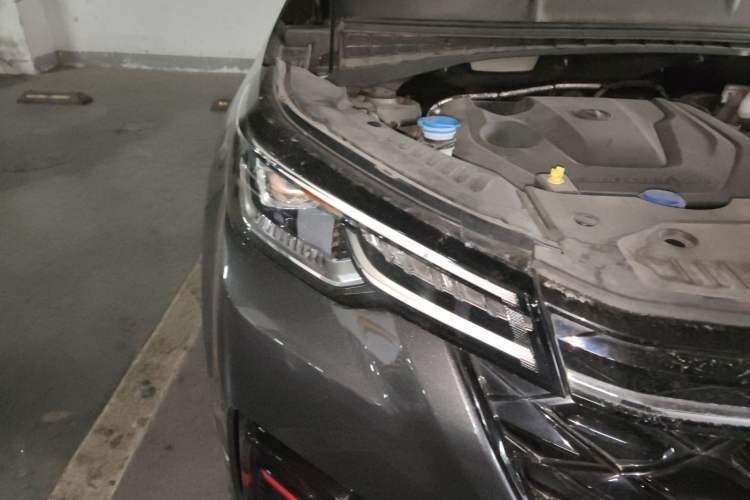 Used Changan CS55PLUS 2021 Blue Whale Edition 1.5T Manual Luxury Model