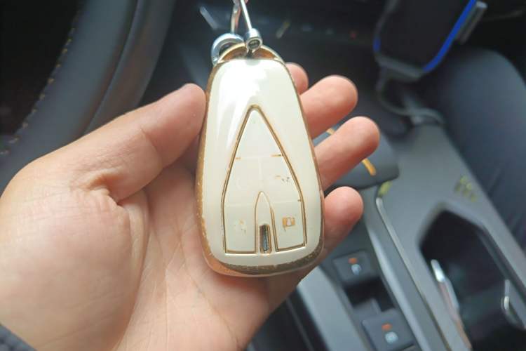 Used Oshan X5 PLUS 2023 1.5T DCT Excellence Edition