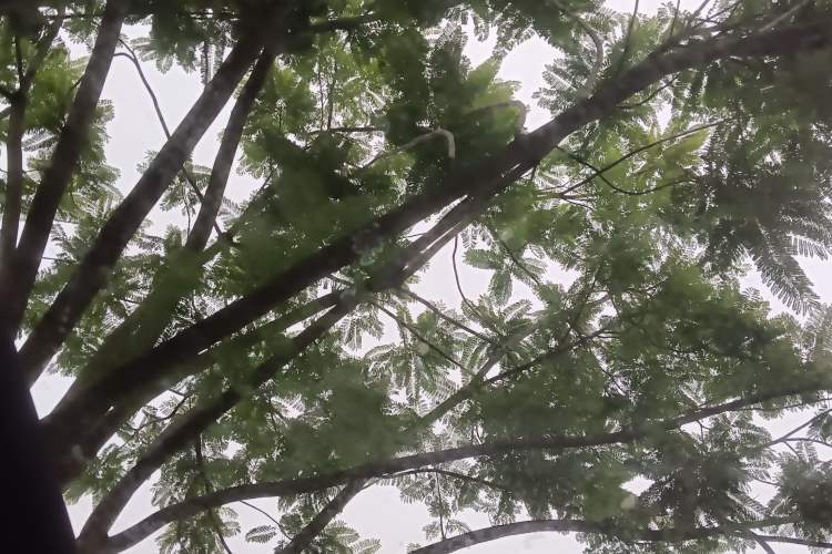 Used Zeekr 7X 2025 100 kWh Long-Range Rear-Wheel Drive with Intelligent Driving Features