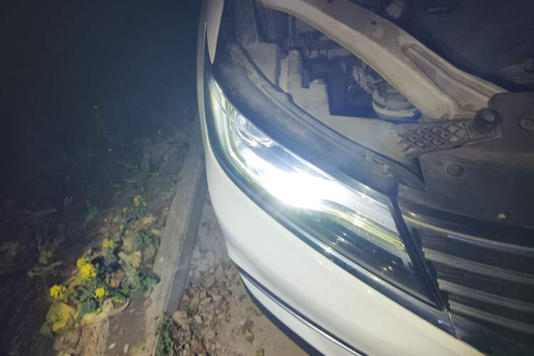 Used Roewe RX5 2018 20T Two-Wheel Drive Automatic Flagship Edition