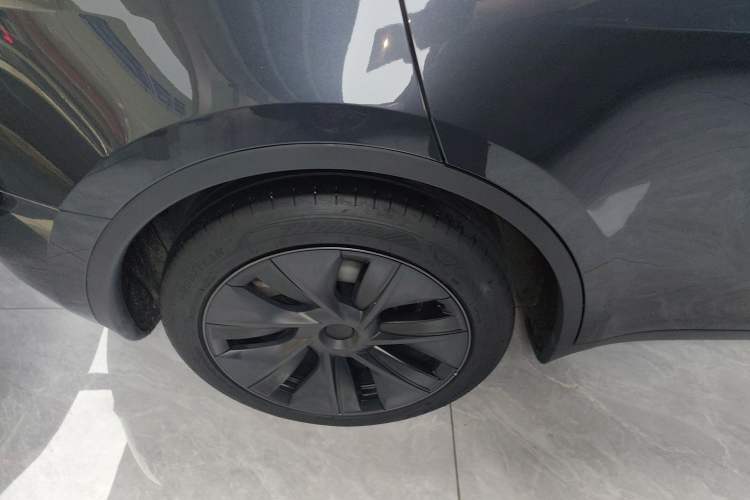 Used Tesla Model Y 2024 Rear-Wheel-Drive Version Exterior 5