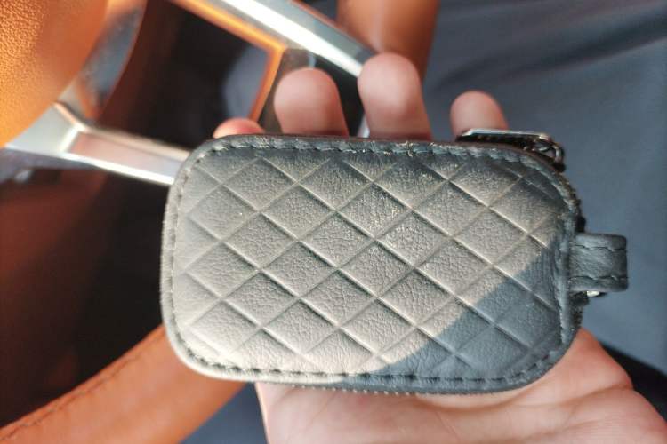 Used ORA Lightning Cat 2022 555 km Luxury Edition