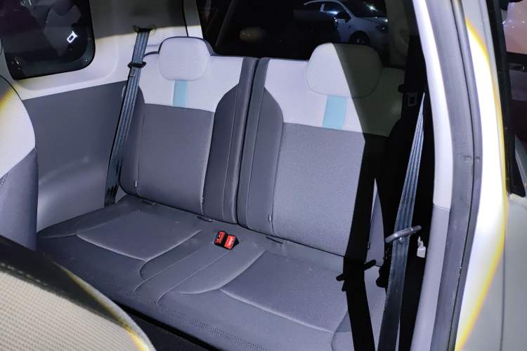 Used Qiyuan Lumin 2023 301km Honey Dew Edition