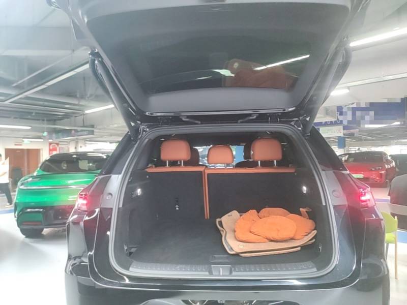 Used Li Auto L6 2024 Max — 18