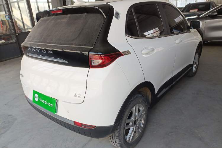 Used Dayun Yuehu 2023 300 Standard Edition
