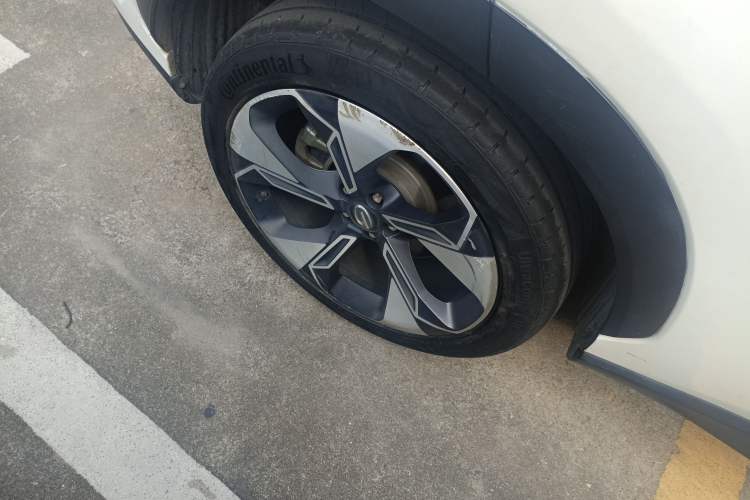 Used AION V 2020 80 MAX Edition Exterior 5