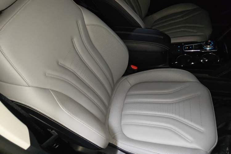 Used Ford Escape 2020 EcoBoost 245 Two-Wheel-Drive Titanium Edition Right Front Seat