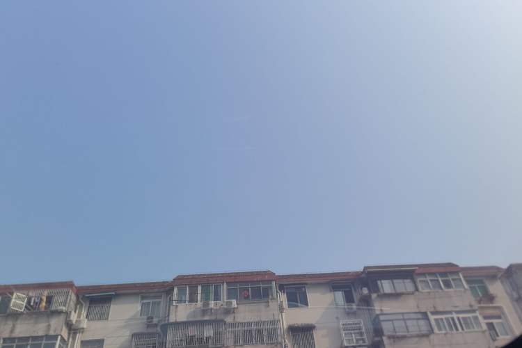 Used Leapmotor C11 2023 Pure Electric 500 Smart Edition Headliner