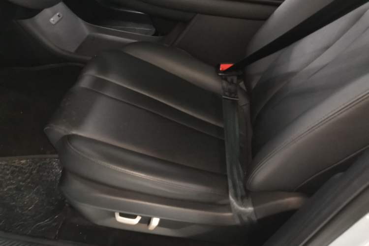 Used Wuling Xingguang S 2024 130 km Flagship Version Left Front Seat