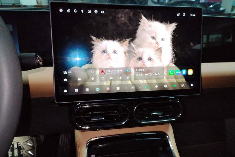 Used Leapmotor C01 2024 Pure Electric 525 Luxury Edition