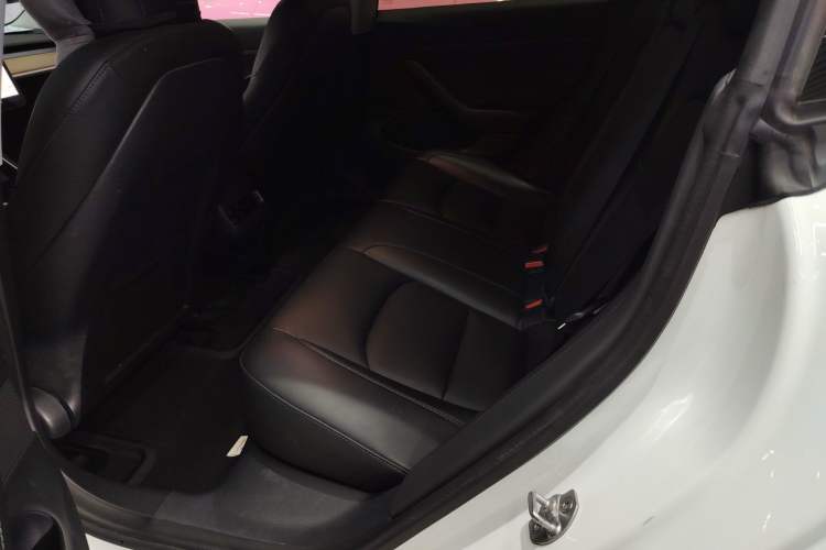 Used Tesla Model 3 2019 Standard Range Rear-Drive Upgraded Version Left Rear Seat