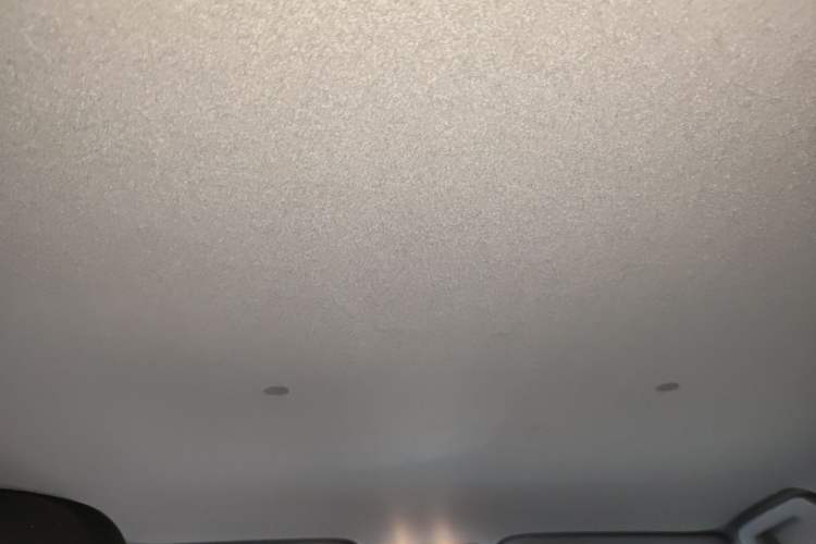 Used Toyota YARiS L Zhi Xuan 2021 X-Trail 1.5L CVT Leading Edition Headliner