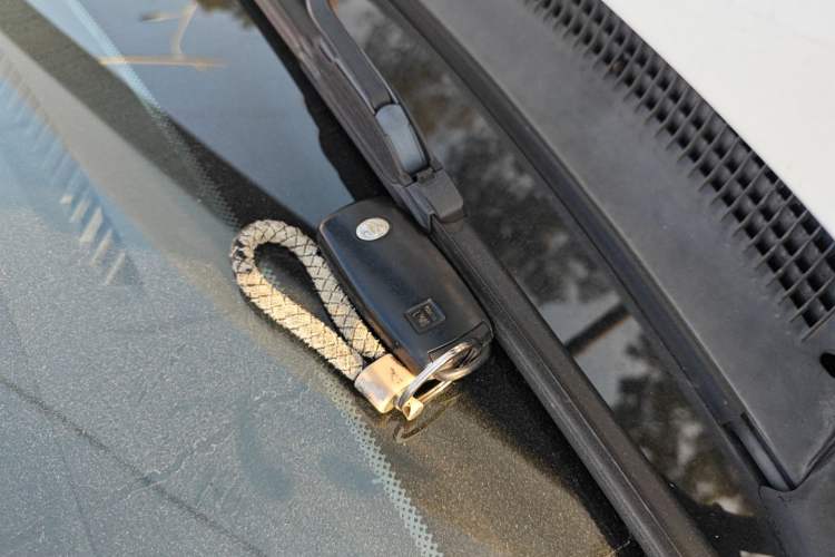 Used FORTHING T5L 2020 1.5T Automatic Luxury 7-Seater China VI Standard