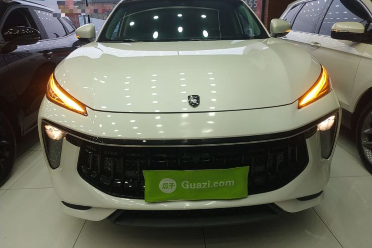 Used FORTHING T5 2022 Shengshi Version 1.5T Automatic - Yuanmeng Edition 5 Seats