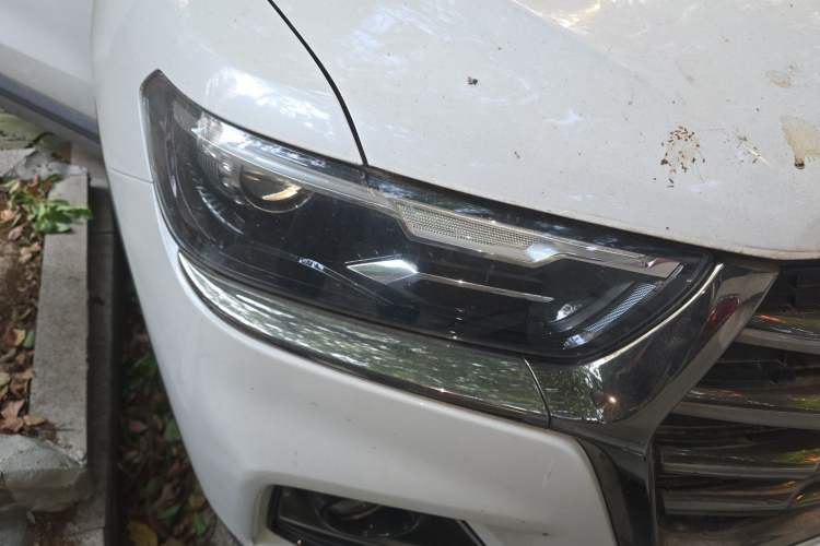 Used Haval H6 2021 National Trend Edition 1.5T Automatic Champion Version
