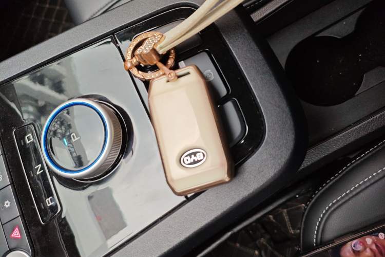 Used BYD e2 2019 Long-Range Version Yao·Luxury Trim
