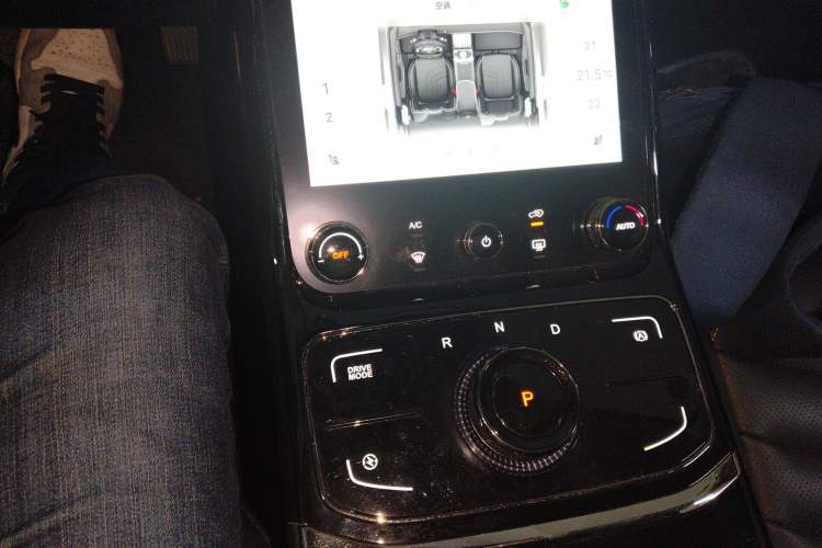 Used NETA U 2022 NETA U-Ⅱ 500 Lithium Iron Phosphate Gear Lever