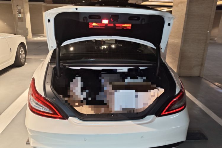 Used Mercedes-Benz CLS 2015 CLS 320
