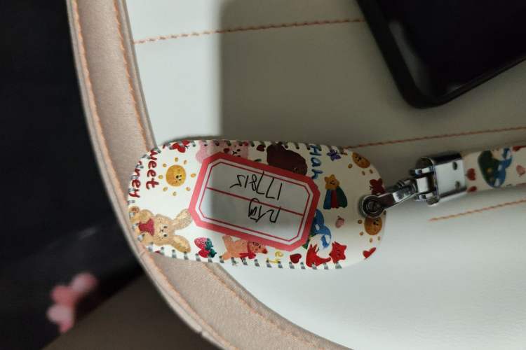 Used Geely Auto Panda 2023 Panda Mini 200km Endurance Bear Vehicle Key