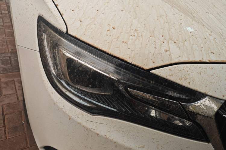 Used Buick GL6 2019 18T 6-Seater Connected Luxury Version China VI Standard
