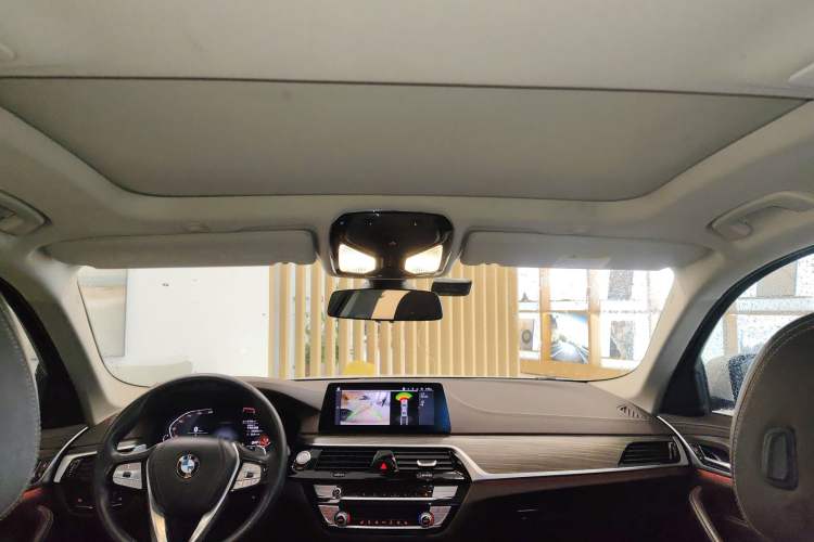 Used BMW 5 Series 2020 530Li Leading Edition Luxury Package