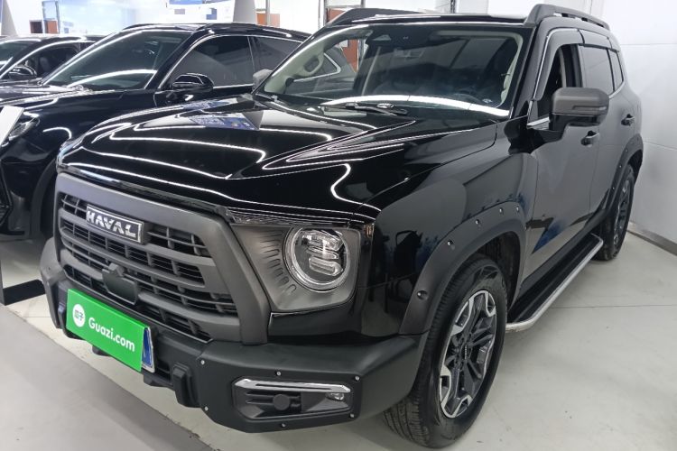 Used Haval DARGO 2024 2.0T DCT Chinese Rural Dog Edition