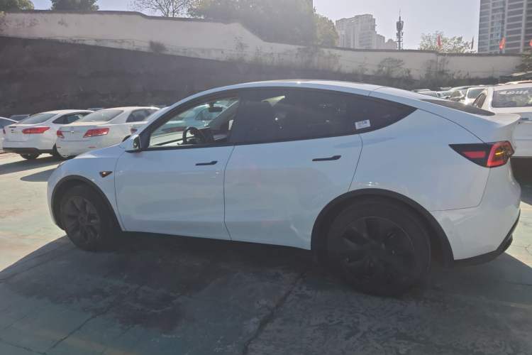 Used Tesla Model Y 2023 Rear-Wheel-Drive Version