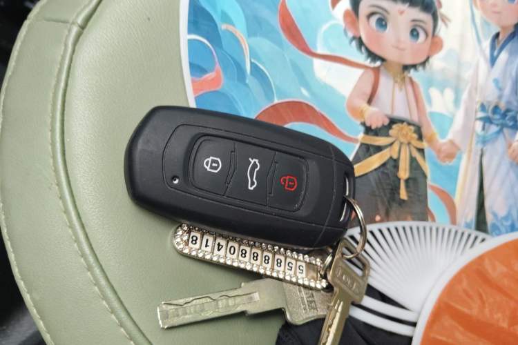 Used Geely Auto Panda 2024 200km Panda Rider