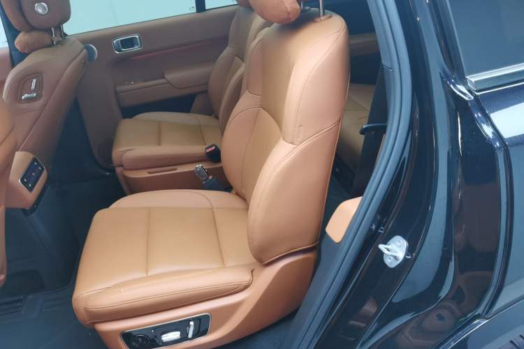 Used Li Auto L9 2024 Pro Model Left Rear Seat