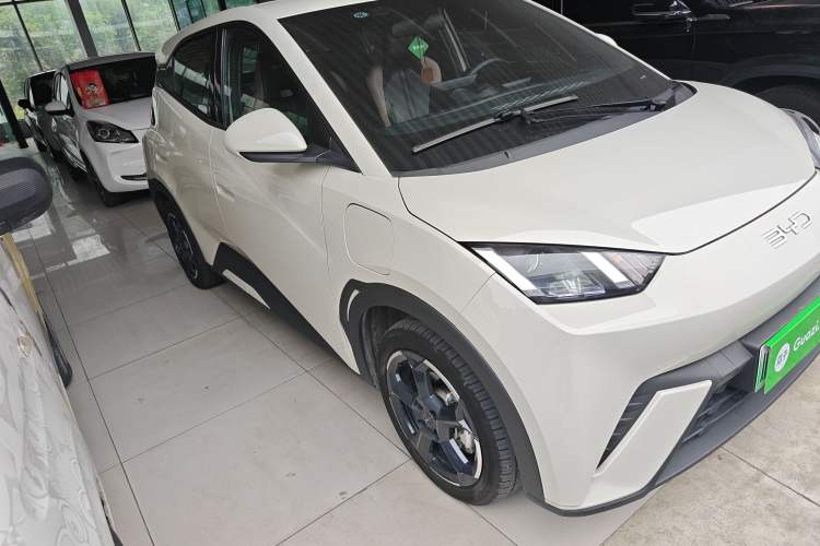 Used BYD Seagull 2024 Honor Edition 305km Freedom Version