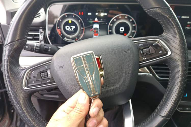 Used Hongqi HS5 2022 2.0T Smart Connect Flagship Edition