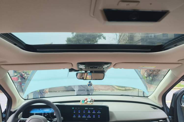 Used Kia Carnival 2021 2.0T Flagship Edition Headliner