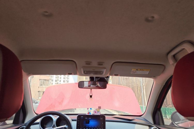 Used ORA Black Cat 2019 351 km Goddess Edition Headliner