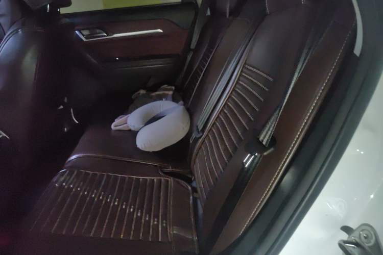 Used Haval H6 Coupe 2019 1.5T Automatic Two-Wheel Drive Luxury Smart Connectivity Version China VI Standard