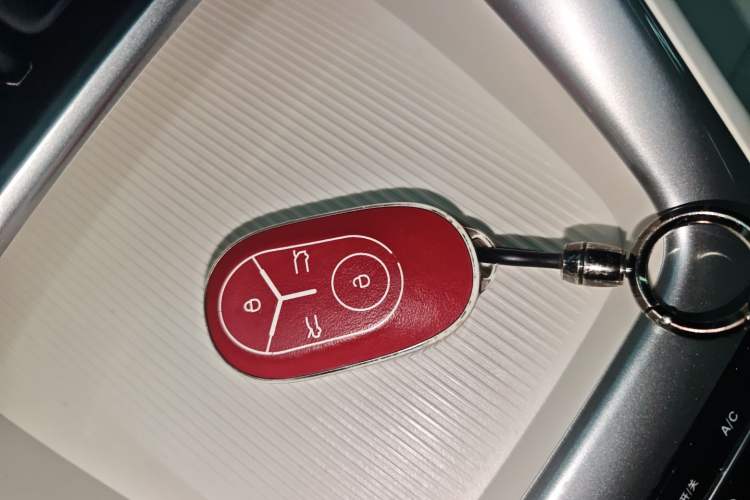 Used Geely Galaxy Geome 2025 310km Youth Edition