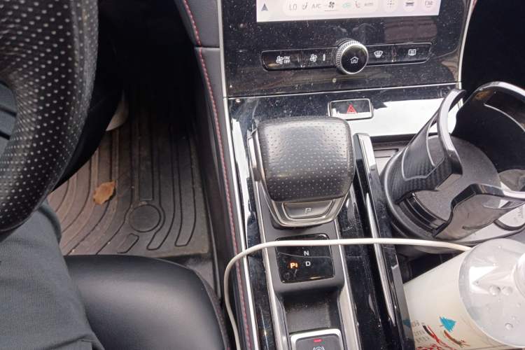 Used Rising ER6 2021 New Dynamic Edition 620km Smart Enjoyment Version
